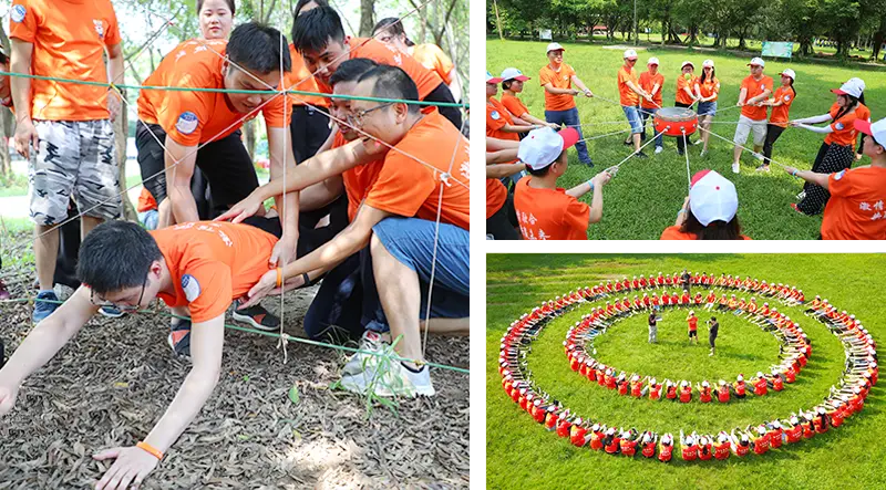 龙8-long8拓展培训