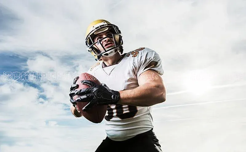 头号玩家唯一官网官方版百度翻译App