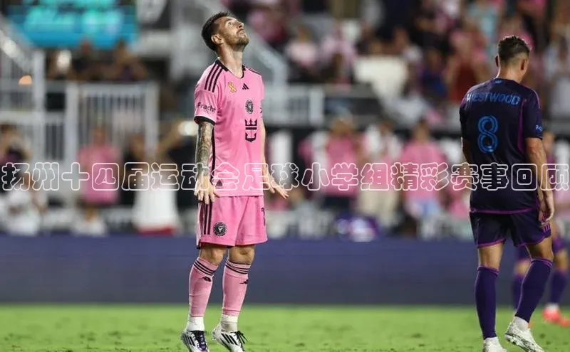 头号玩家平台官网江铃新能源