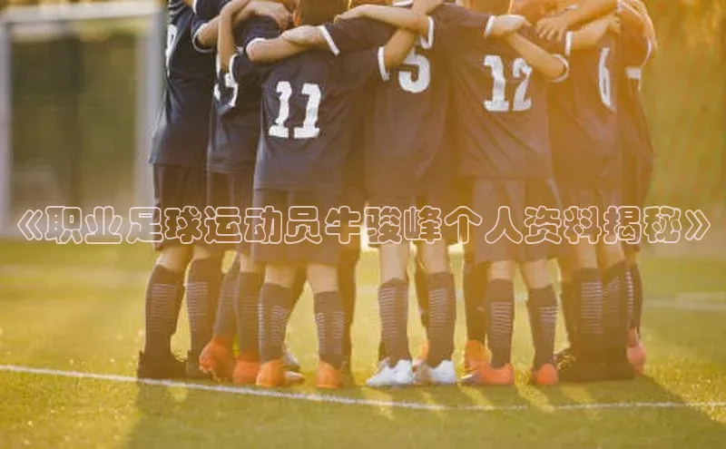 头号玩家官网下载百度技术学院