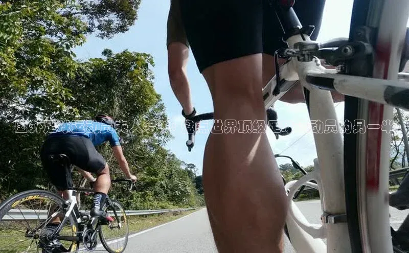 龙8客户端登录_官网app下载彩讯股份