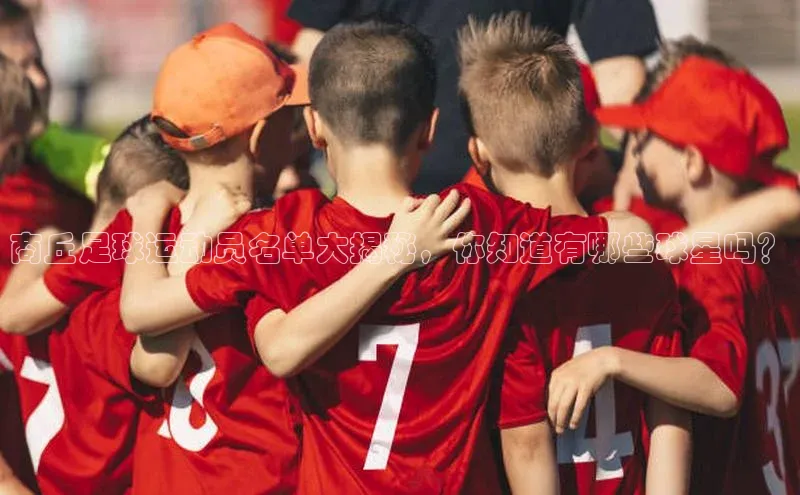 龙8官网国际百家号