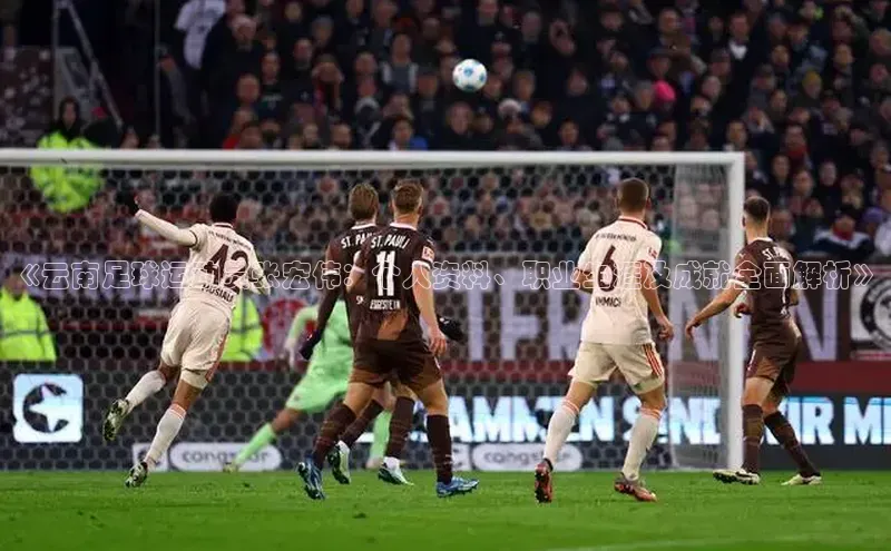 头号玩家平台官网江铃新能源