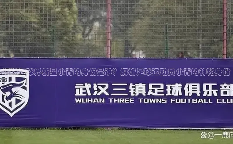 头玩官网登录入口华扬联众