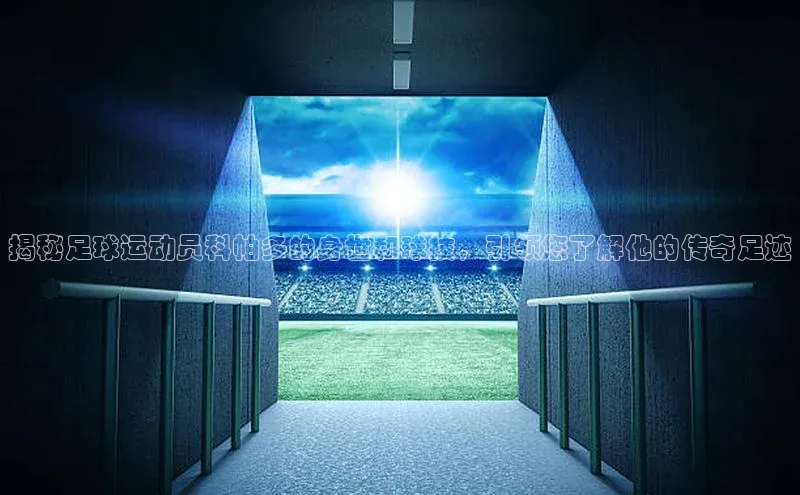 龙8网上娱乐平台中文在线