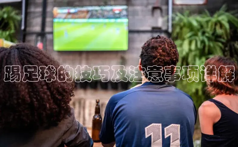 龙8网上娱乐平台观星盘