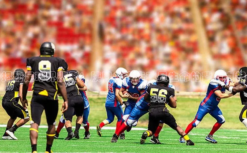 头号玩家龙8官方网站百度 H5