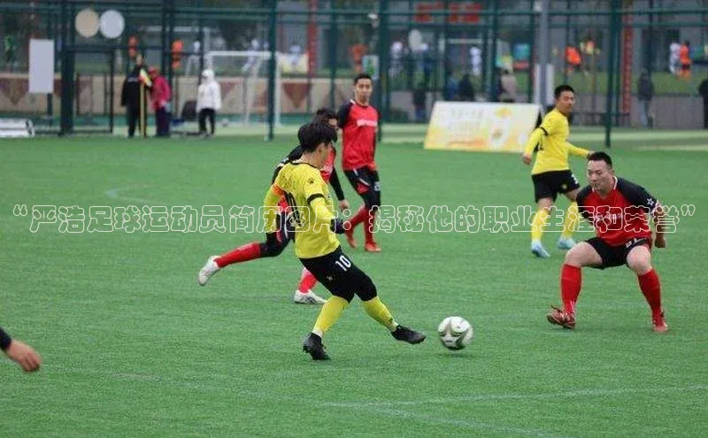 头号玩家龙八国际网址天键股份