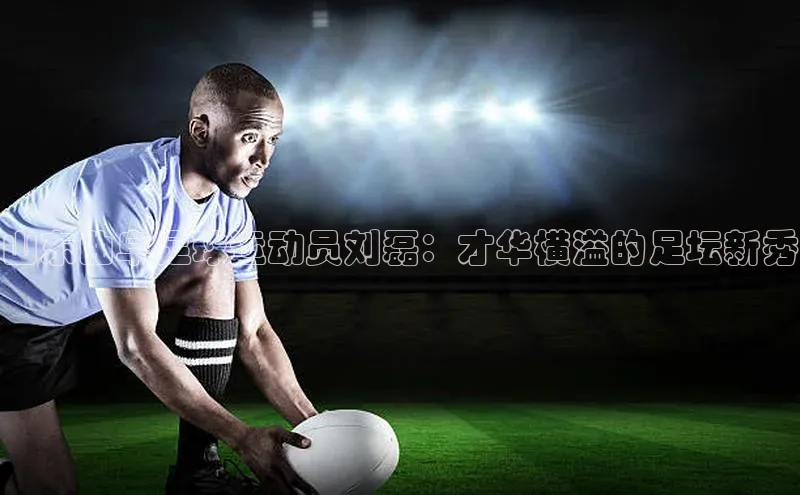 龙8网页版登录官网雷柏科技