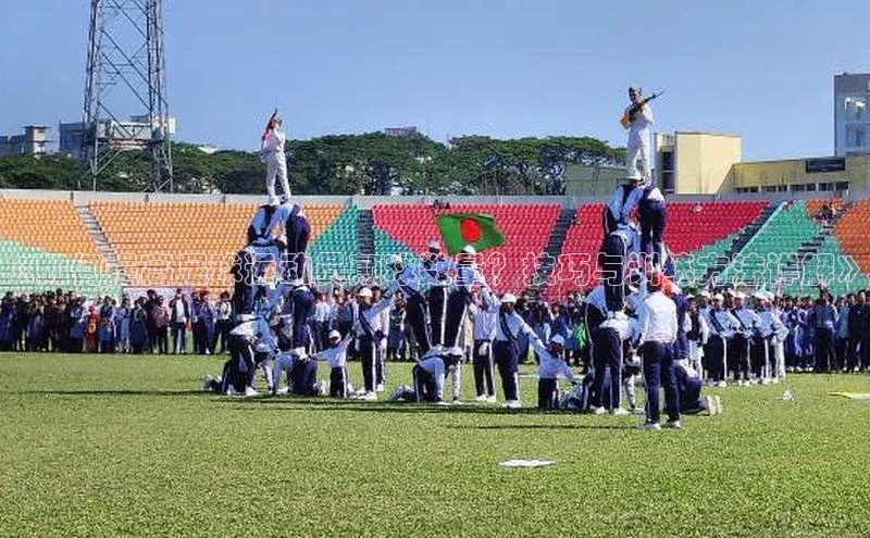 龙8官网正版百度网盘