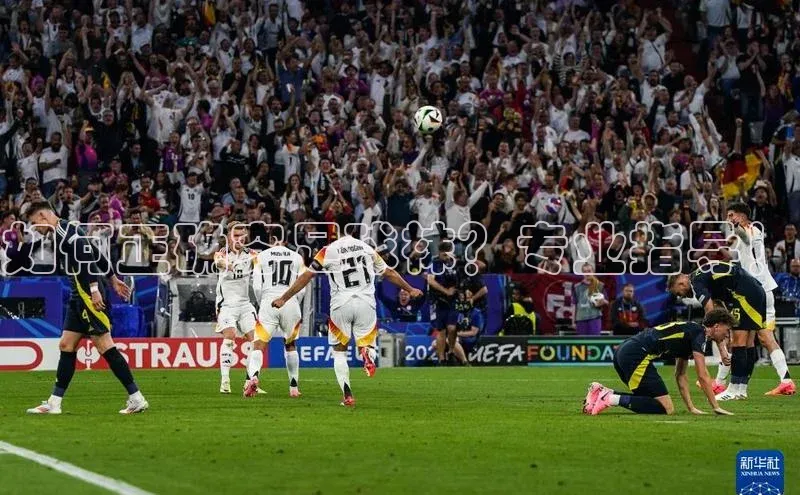 头号玩家龙8官方网站一径科技