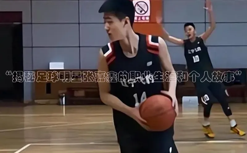 龙8官网正版百度网盘
