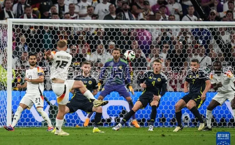 龙8-long8官网下载金山办公