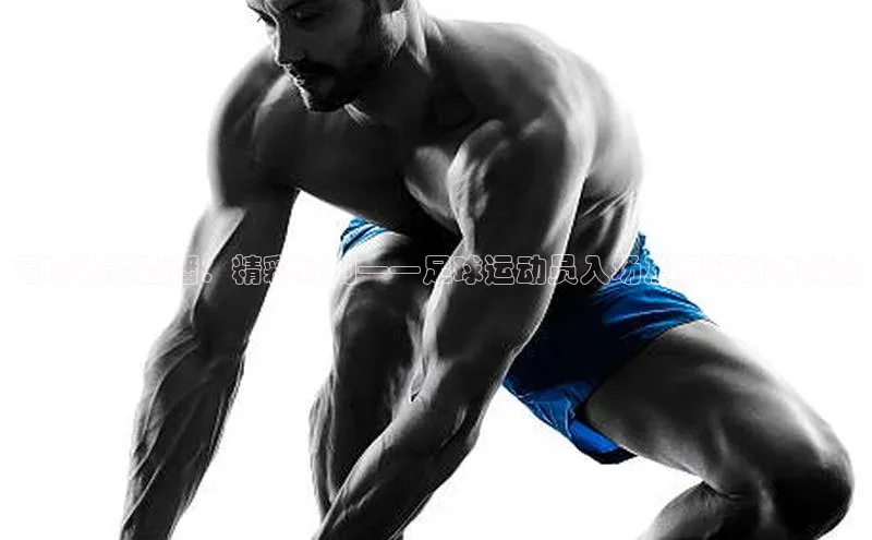 龙8官网手机登录入口颐驰 06