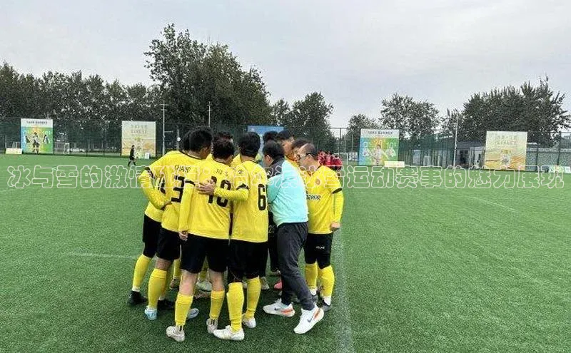 龙8网页版登录官网