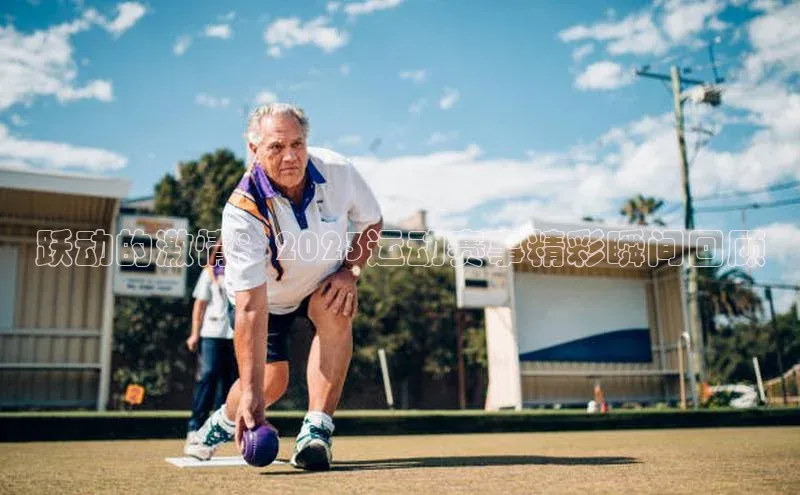 龙八国际app官方版