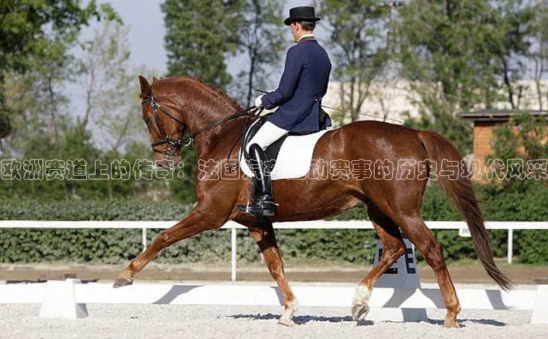 龙8国际联系方式