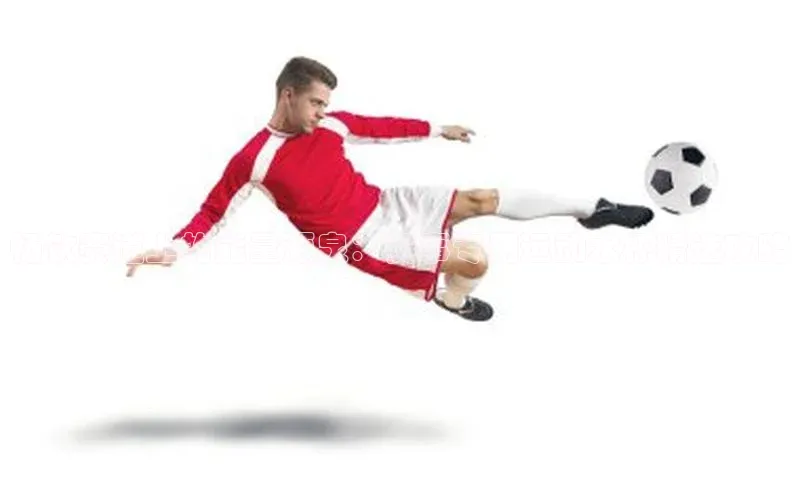 龙8long8手机登录