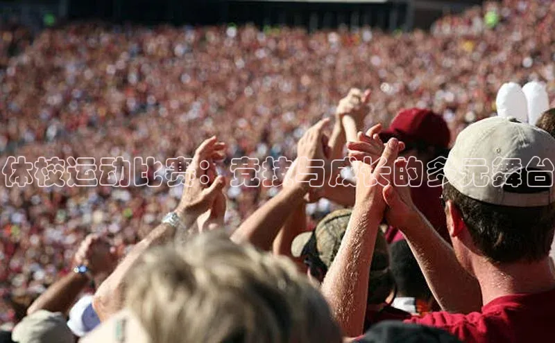 龙8官网在线试玩