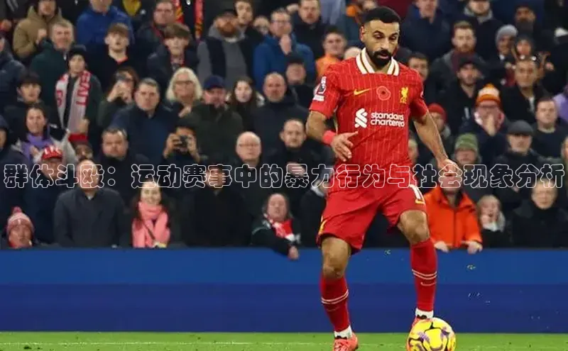 龙8官网手机登入口