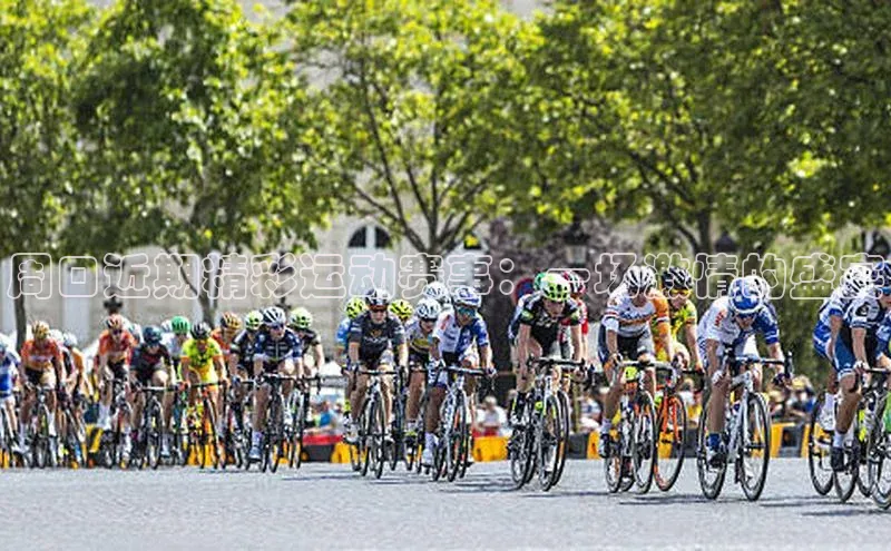 龙八国际app官方版